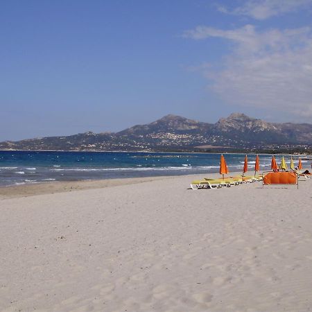 Appartement F1 Calvi A 150 Metres De La Plage Kültér fotó