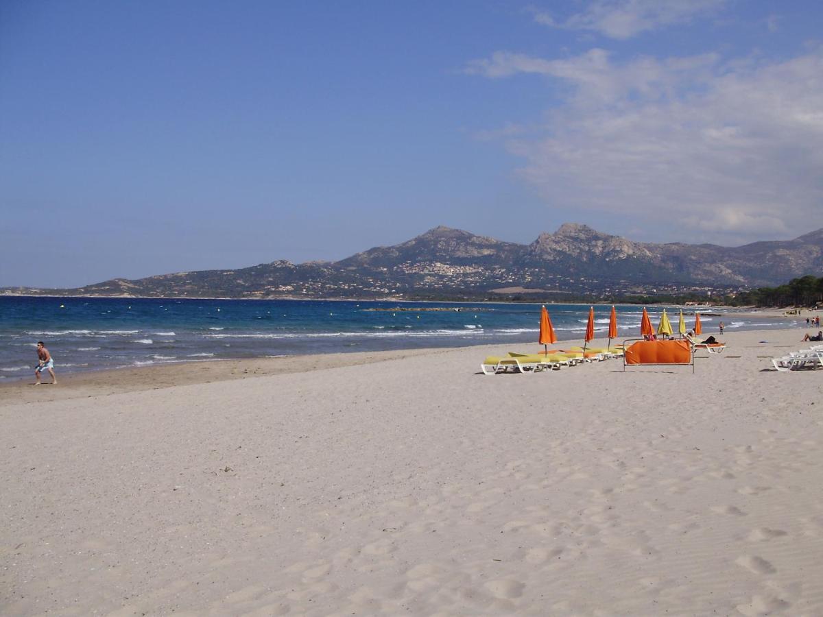 Appartement F1 Calvi A 150 Metres De La Plage Kültér fotó