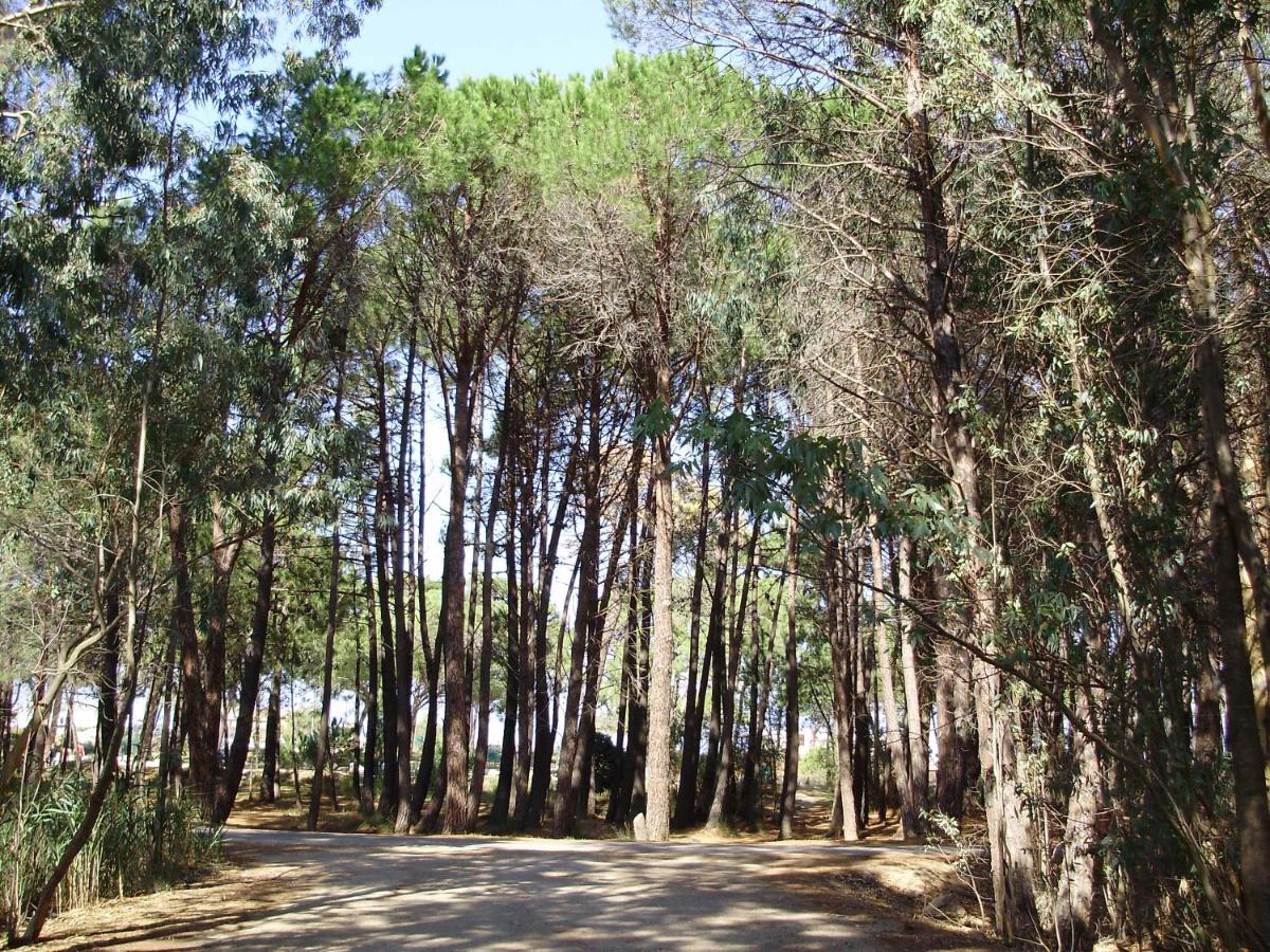 Appartement F1 Calvi A 150 Metres De La Plage Kültér fotó